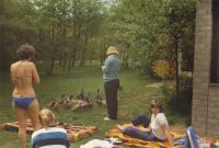 1981-05-15 Weekend Vennebos Hapert FF 04 1981-05-15 Weekend Vennebos Hapert FF 04
